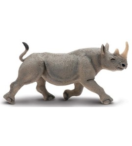 Rhinocéros noir