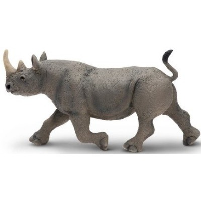 Rhinocéros noir