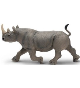 Rhinocéros noir