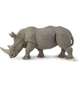 Rhinocéros blanc