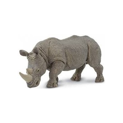 Rhinocéros blanc