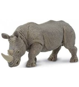 Rhinocéros blanc