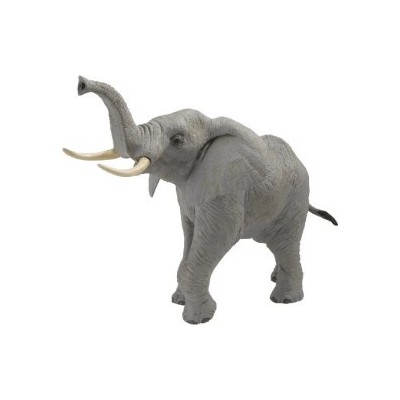 Eléphant d'Afrique