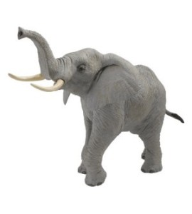 Eléphant d'Afrique