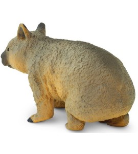 Wombat