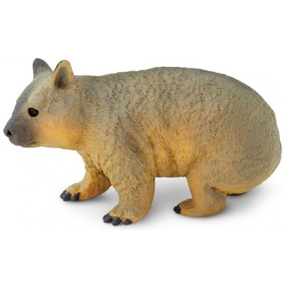 Wombat