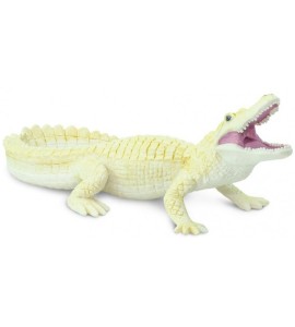 Alligator blanc