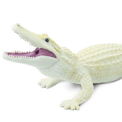 Alligator blanc