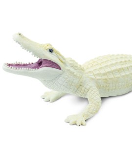 Alligator blanc