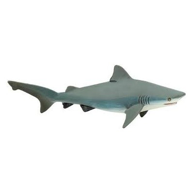 Requin taureau