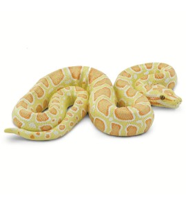 Python albinos birman