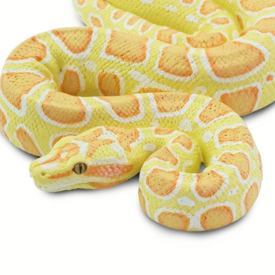 Python albinos birman