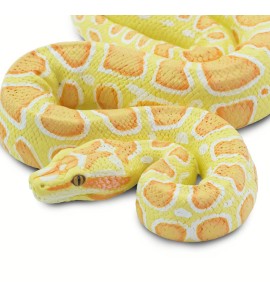 Python albinos birman