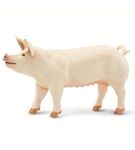 Porc