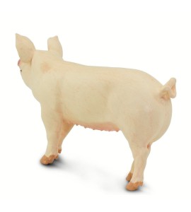 Porc