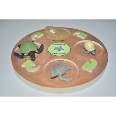 Cycle de vie de la tortue - plateau + figurines