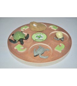 Cycle de vie de la tortue - plateau + figurines