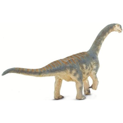 Camarasaurus