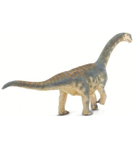 Camarasaurus