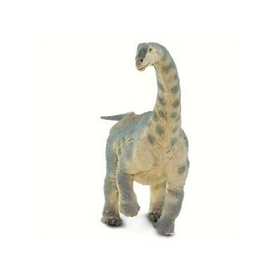 Camarasaurus