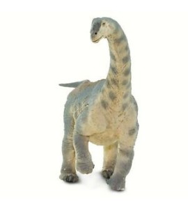 Camarasaurus