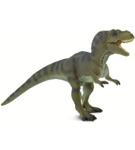 Tyrannosaurus rex