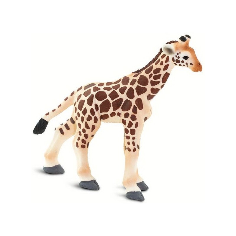 Girafe bébé