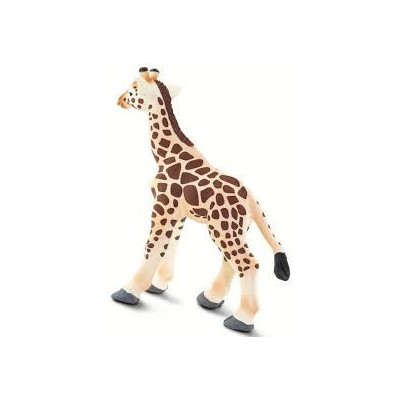 Girafe bébé