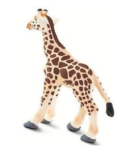 Girafe bébé