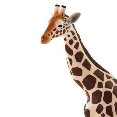 girafe