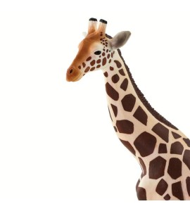 girafe