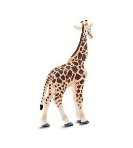 girafe