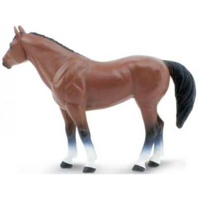 Cheval Quarter Horse Hongre