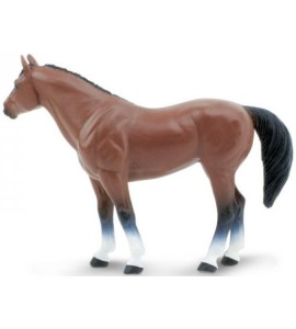 Cheval Quarter Horse Hongre