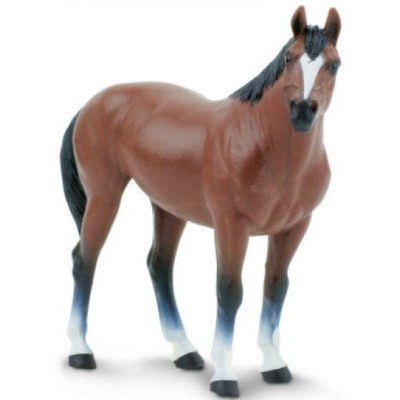 Cheval Quarter Horse Hongre