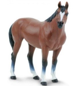 Cheval Quarter Horse Hongre