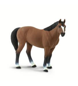 Cheval Quarter Horse Hongre