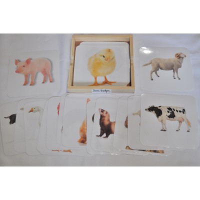 Cartes classifiées ANIMAUX DE LA FERME