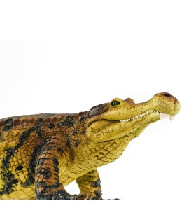 Sarcosuchus