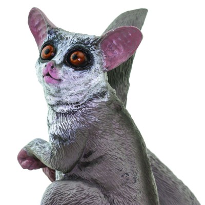 Galago