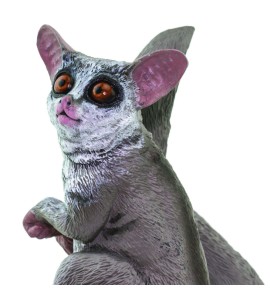 Galago