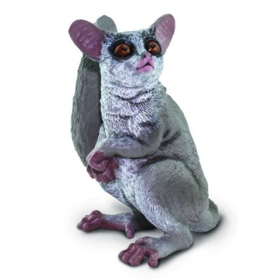 Galago