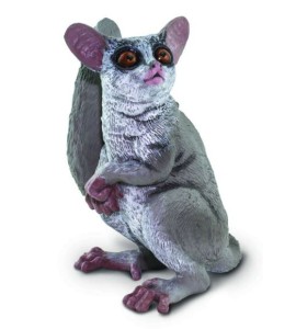 Galago