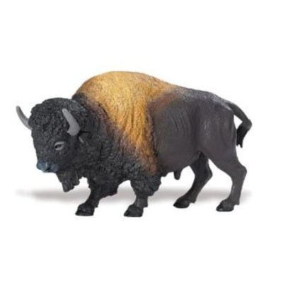 Bison