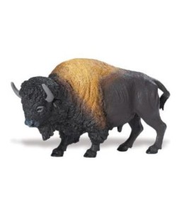 Bison