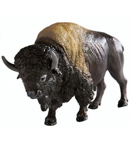 Bison