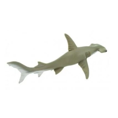 Requin marteaux