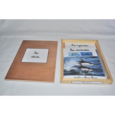 coffret animaux sauvages et domestiques