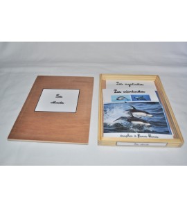 coffret animaux sauvages et domestiques