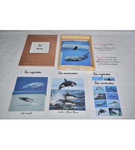 coffret animaux sauvages et domestiques